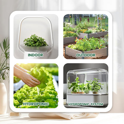 15,000+ Non-GMO Variety Heirloom Garden Seeds